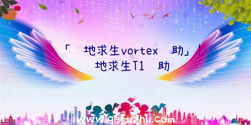 「绝地求生vortex辅助」|绝地求生T1辅助